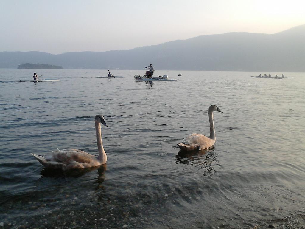 B&B IL CASTELLO Lago Maggiore Cossogno Esterno foto